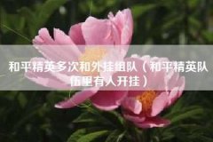 和平精英手游特大外挂案（和平精英外挂案）